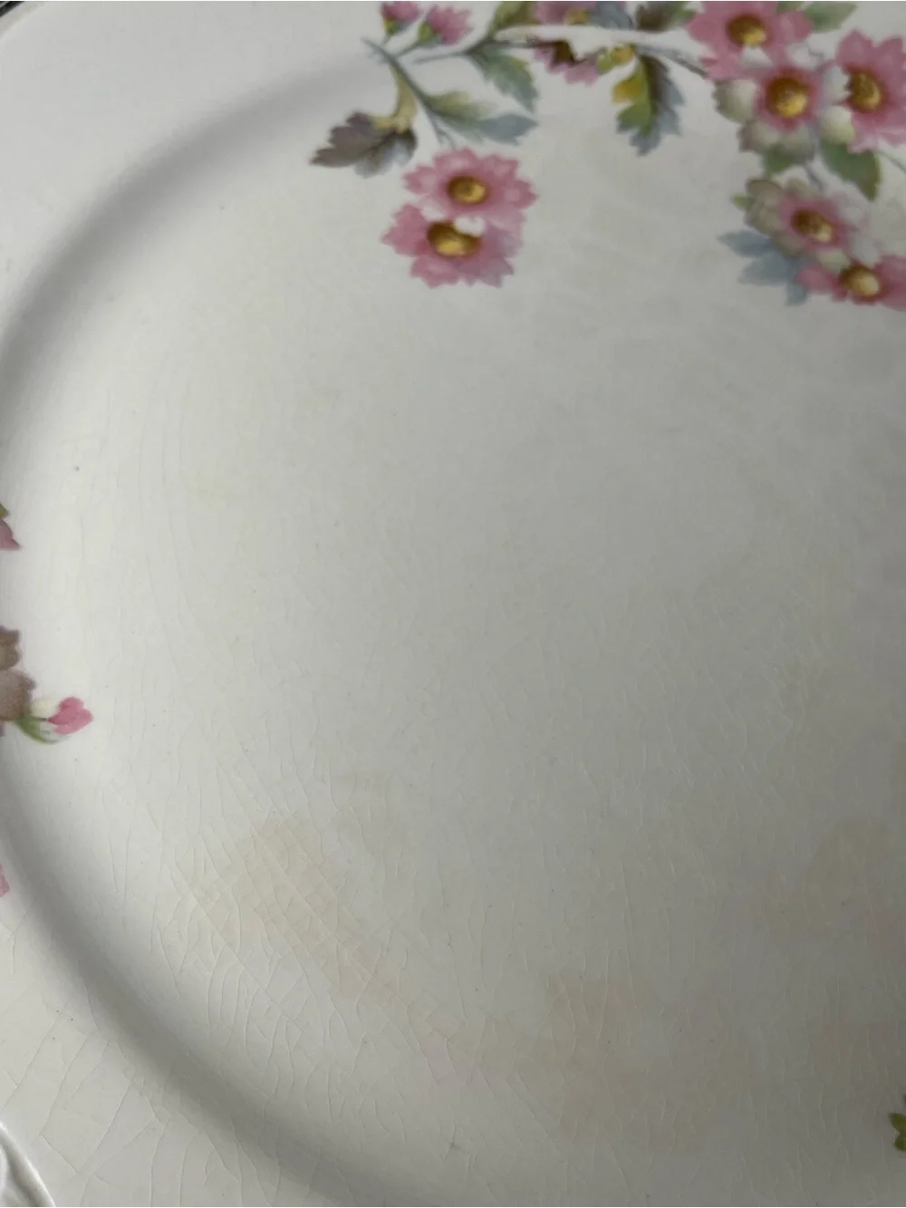Homer Laughlin Virginia Rose JJ59 Dinner Plate Platinum Trim